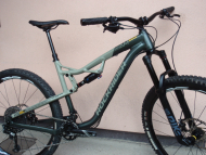 Rockrider AM 500s LTD 29