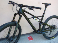Specialized Enduro S-Works Carbon 29"