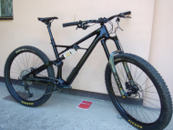 Specialized Enduro S-Works Carbon 29"