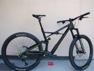 Specialized Enduro S-Works Carbon 29"