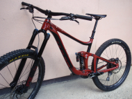 Enduro Giant Reign SX 29"