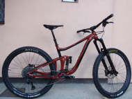 Enduro Giant Reign SX 29"