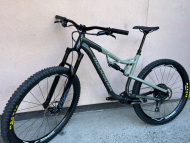 Rockrider AM 500s LTD 29