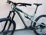Rockrider AM 500s LTD 29